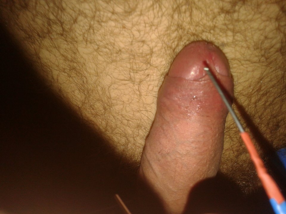 20171015_231037.jpg - janekoko4