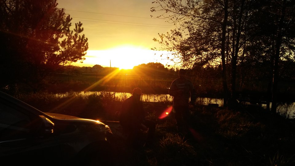 20171007_174008.jpg - Fiut12345