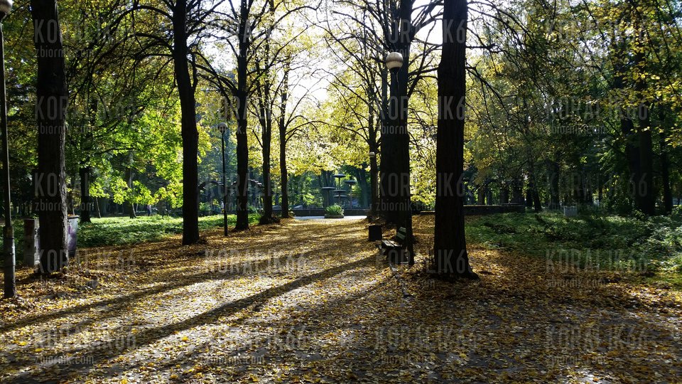 150824136442140840278.jpg - Koralik66