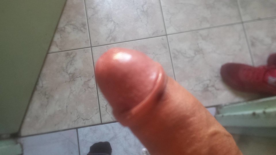 22641745_1149679495131950_615012250_o.jpg - cameleon12345