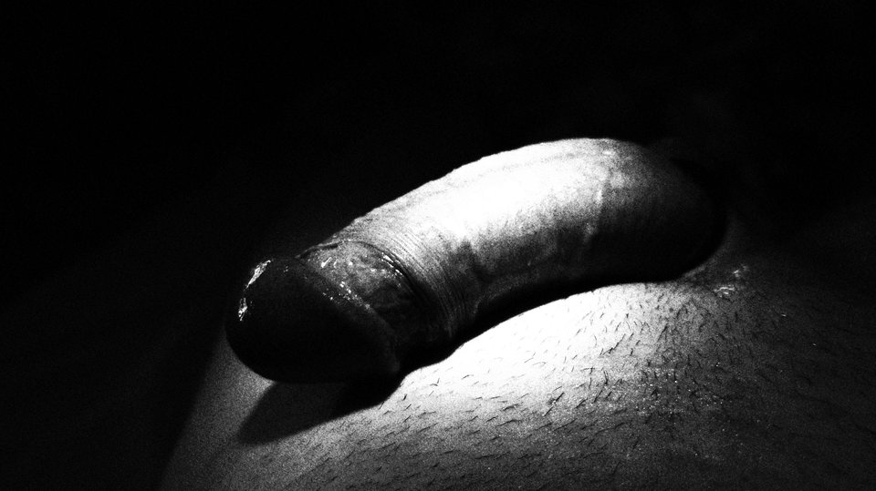 IMG_2431.JPG - brunet40dl