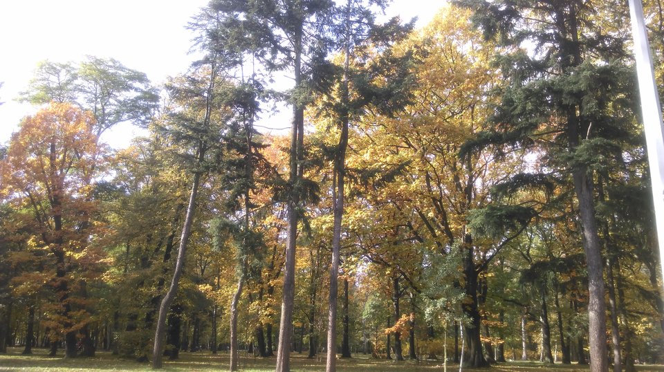 IMAG0718.jpg - Polaco86