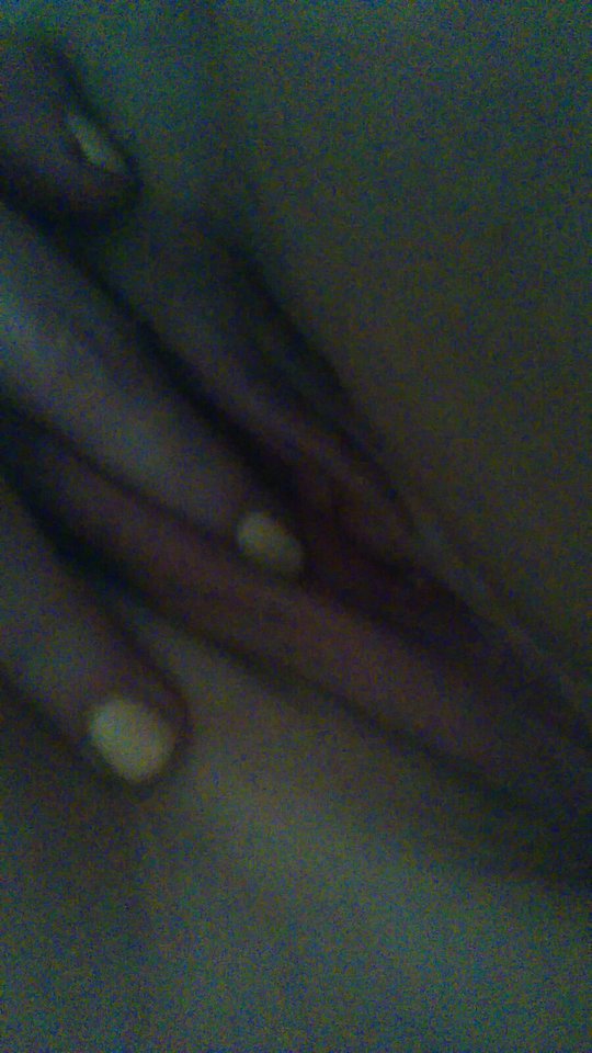 IMG-20171018-WA0009.jpg - lata70