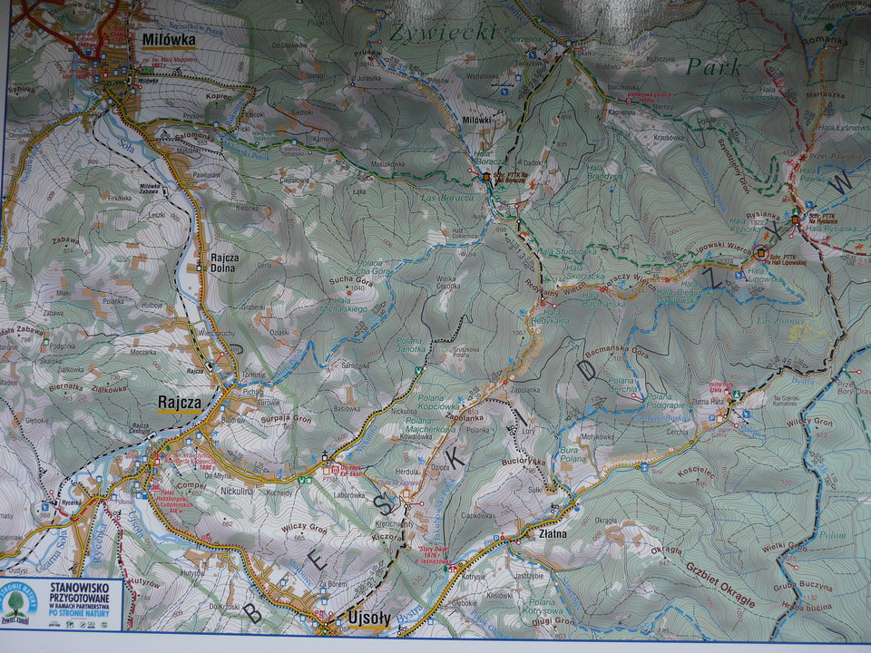 P1090711.JPG - piotr01974