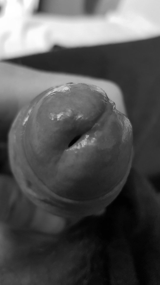 20171022_083114.jpg - piotrslawski1978