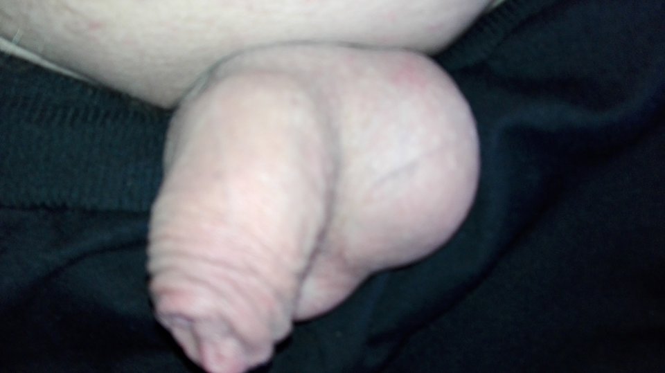 1508741433443194371944.jpg - miro1011