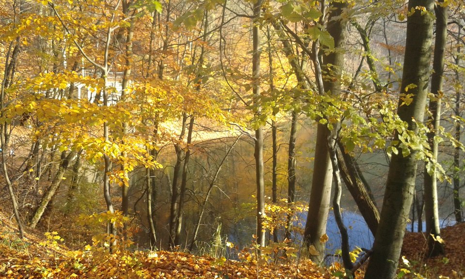 20161112_123638.jpg - uwielbiam69