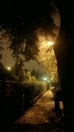Noc i mgła