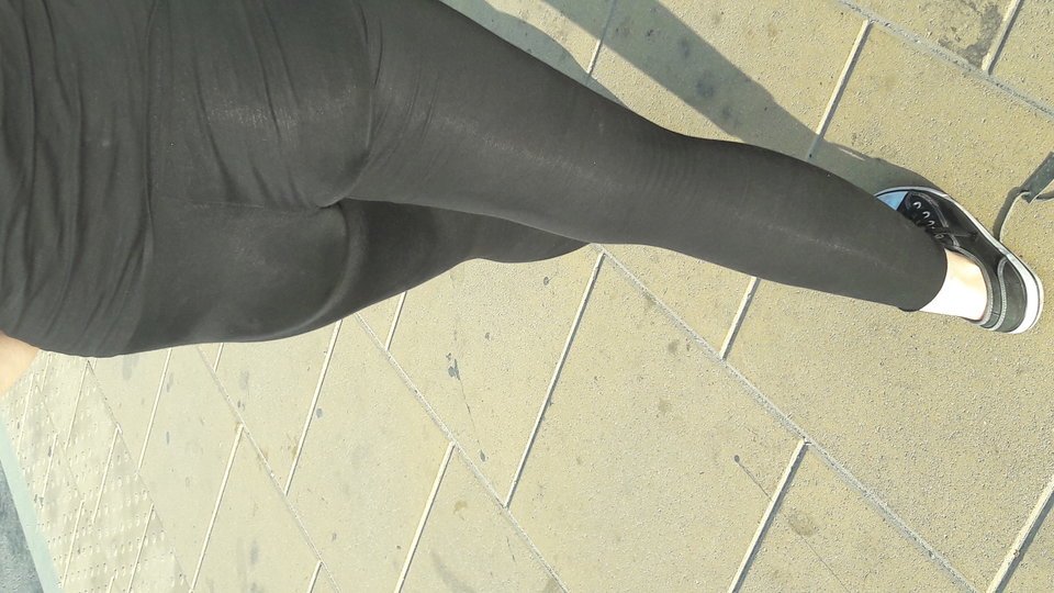 legisiara.jpg - wesolaparkalbl