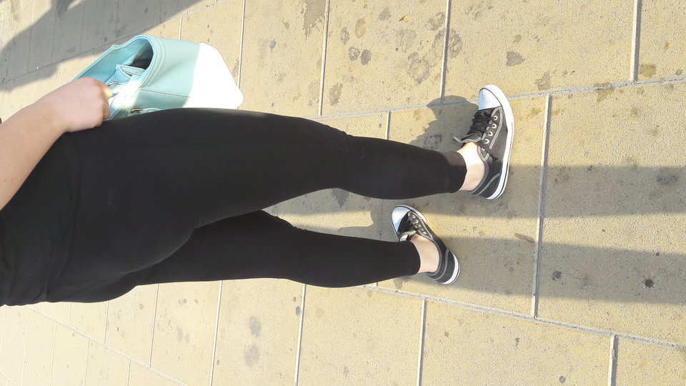 legisiara4.jpg - wesolaparkalbl