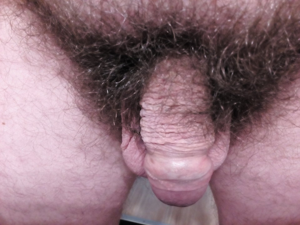 IMG_20171102_110226.jpg - maluch67