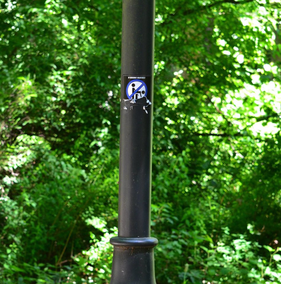 13490586_529379473930080_2149159473330742825_o.jpg - dooris78