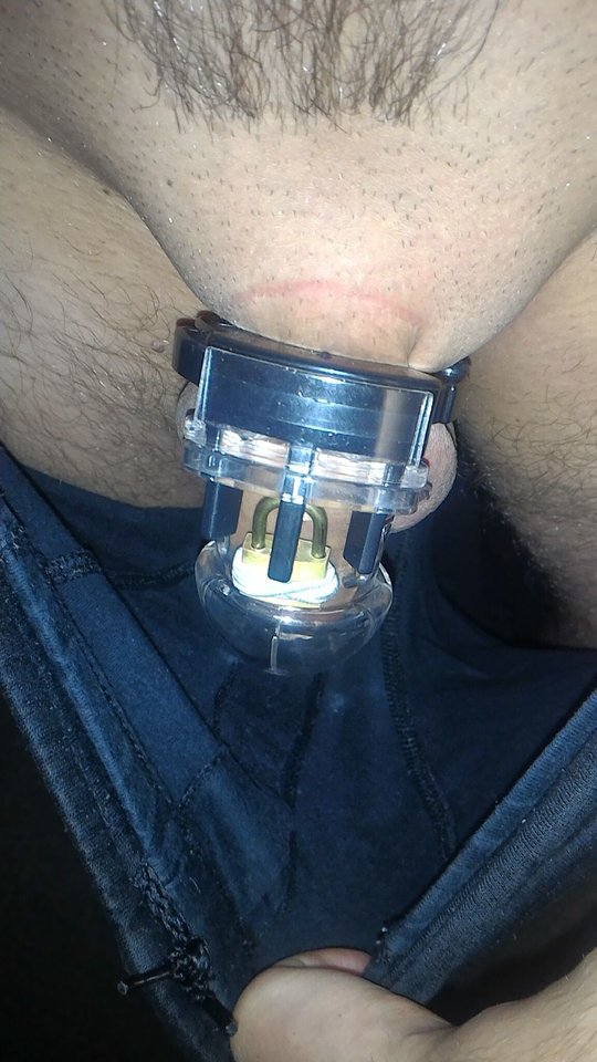 P_20171029_104455_1_p.jpg - widzget