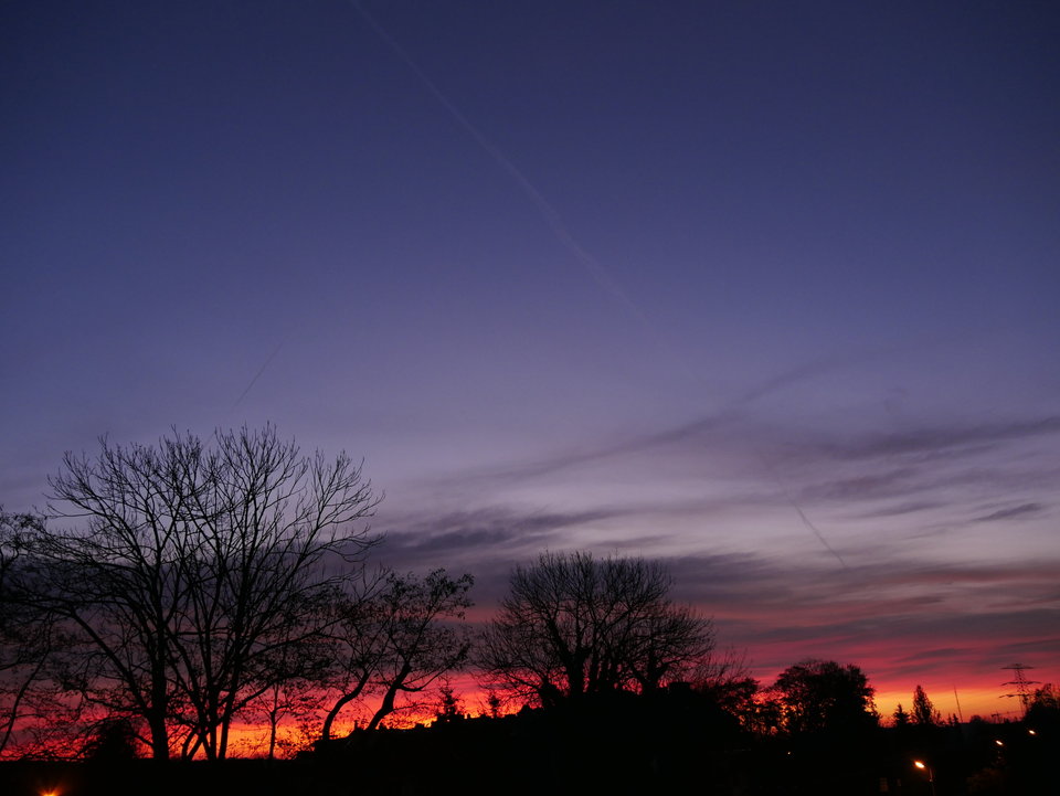 _1000212[1].JPG - FoKam431