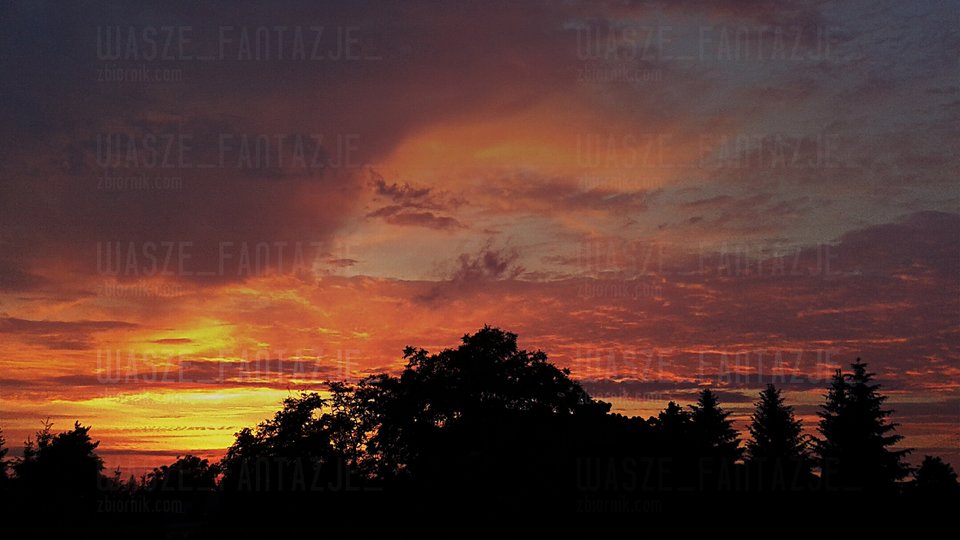 2niedzielny.jpg - wasze_fantazje_