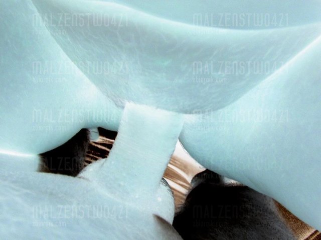 SANY0710.JPG - malzenstwo421