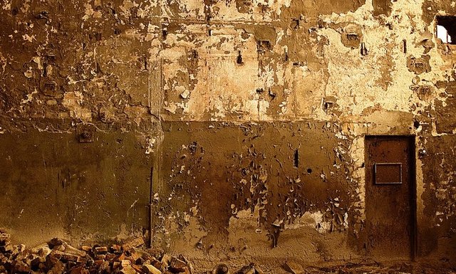 1671360_stara-sciana-.jpg - MaxNE