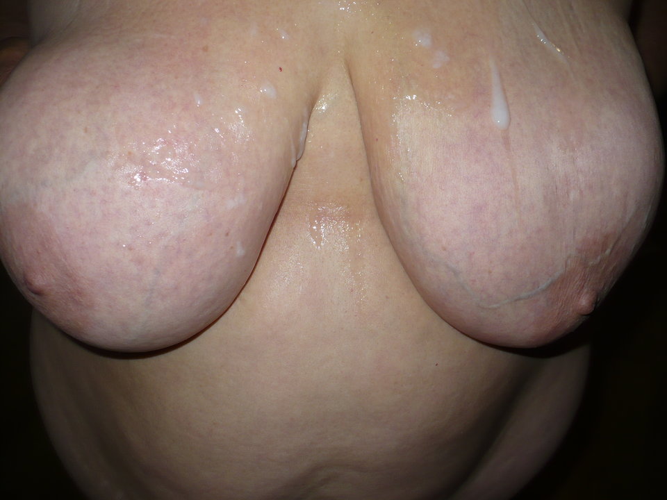 P1080363.JPG - kocica1956