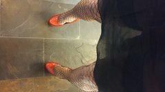 2017-11-09 07.33.04.jpg