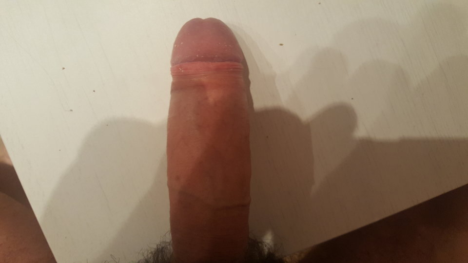 20171110_050219.jpg - perwers42