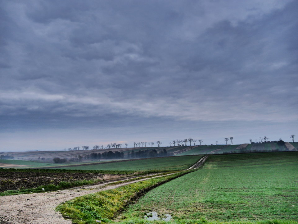 P1000256.JPG - FoKam431