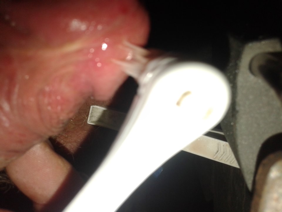 20171112_165928.jpg - janekoko4