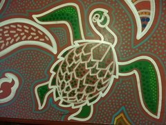 Australian turtle.jpg