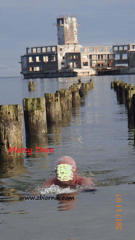 Płynę. - Morsy_dwa