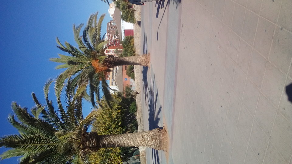 20171114_120709.jpg - on68ona73