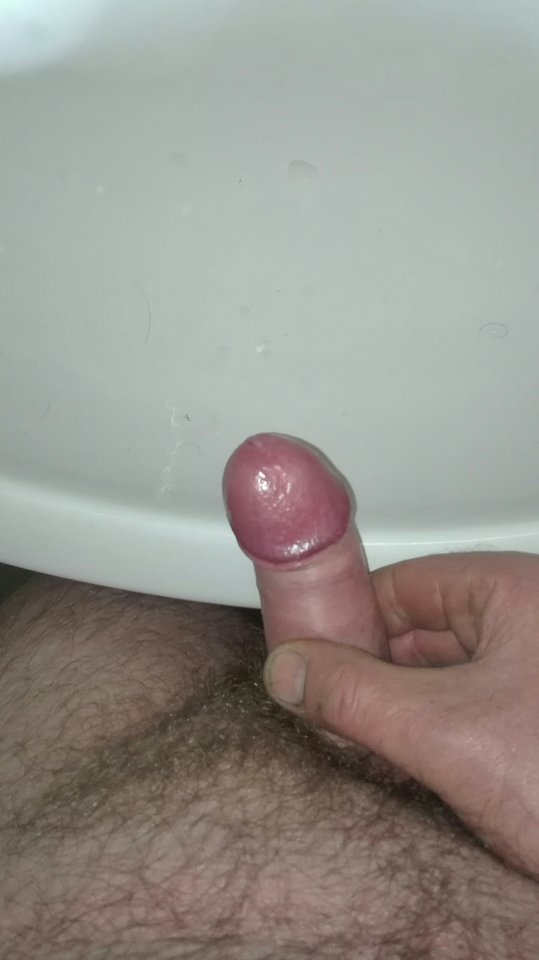 IMG_20171012_081540.jpg - Piteropol