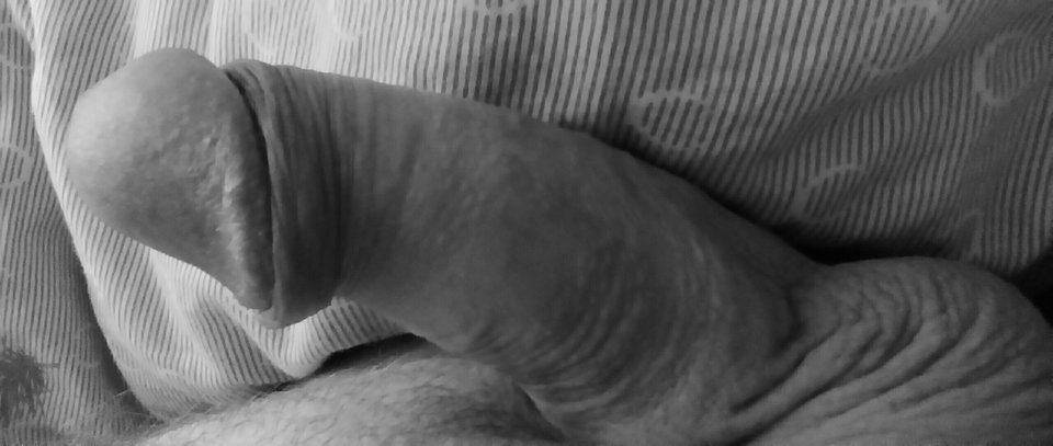 IMG_20171116_120913.JPG - Nuss