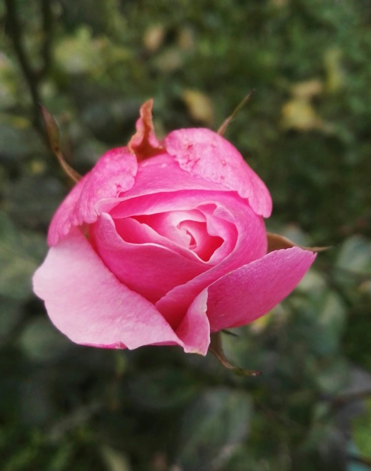 IMG_20171117_123431.jpg - podniecony111