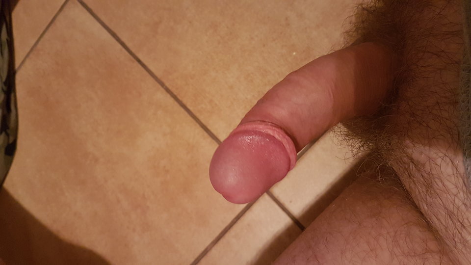 15112188519982073956485.jpg - Carolpoznan