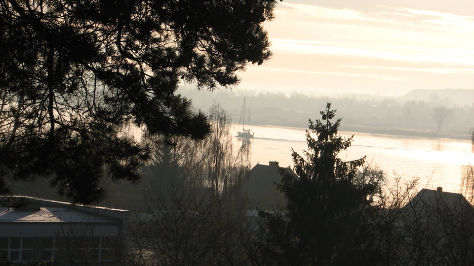 IMG_0019.JPG - matmartifer