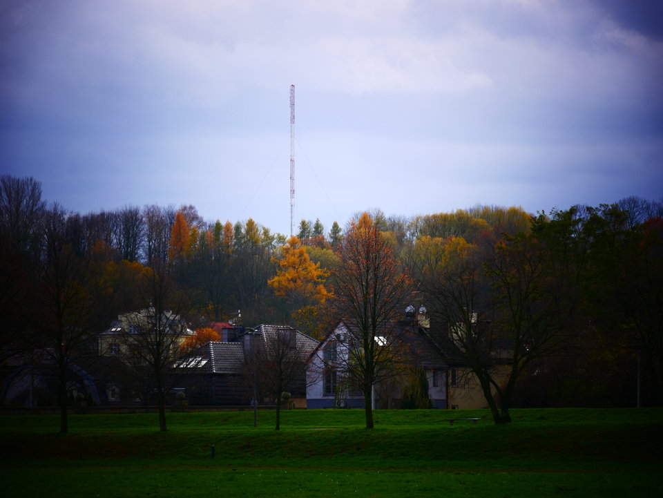 P1000285.JPG - FoKam431