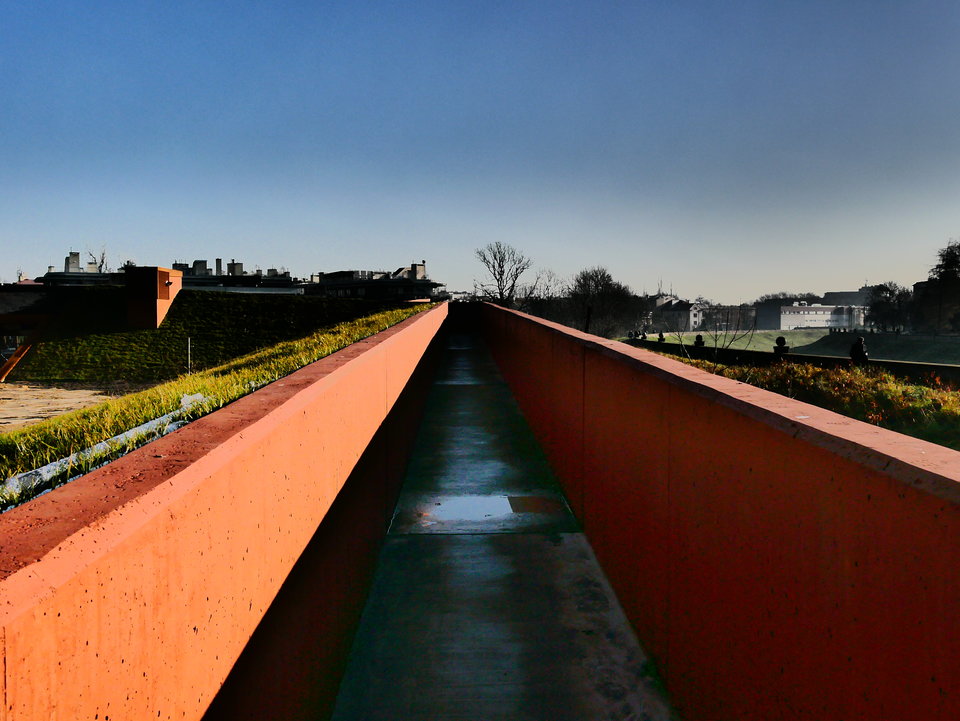 P1000407.JPG - FoKam431