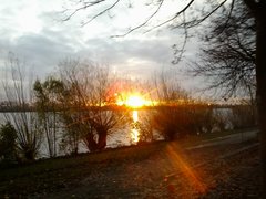 2017-11-24 15.52.01.jpg