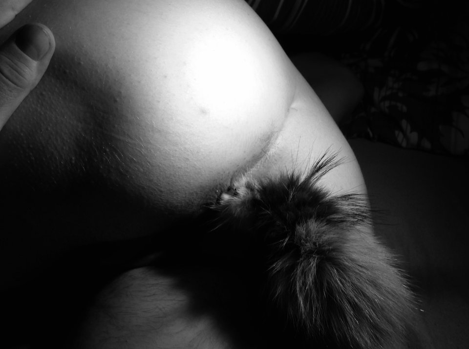 IMG_1803.JPG - wi123