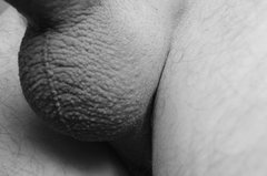 DSC_0321.JPG