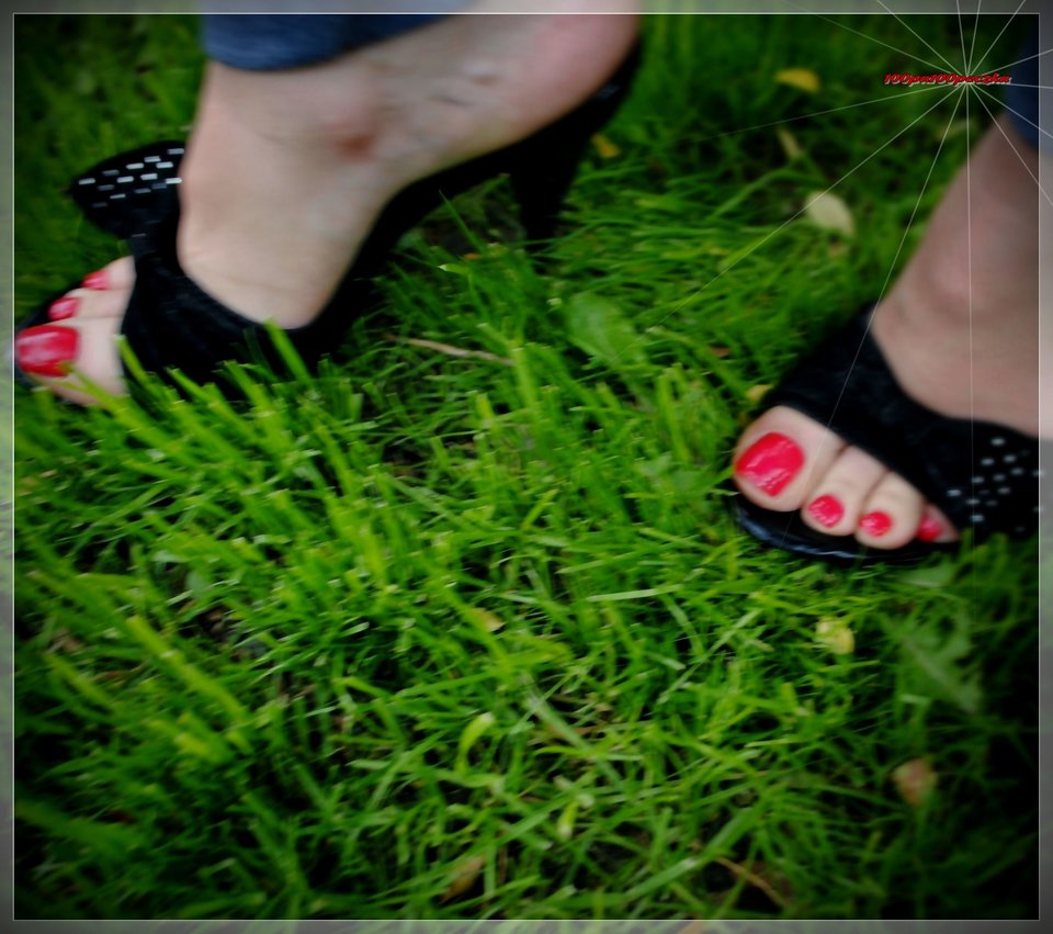 Czarne Szpileczki IV #180 - 100pa100peczka