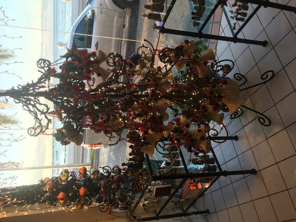 9600B4C7-CCC0-4CC7-9DD8-ACCE2FE9209F.jpeg - ternate3