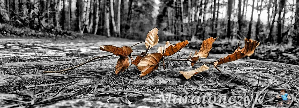 Okładka - Maratonczyk_