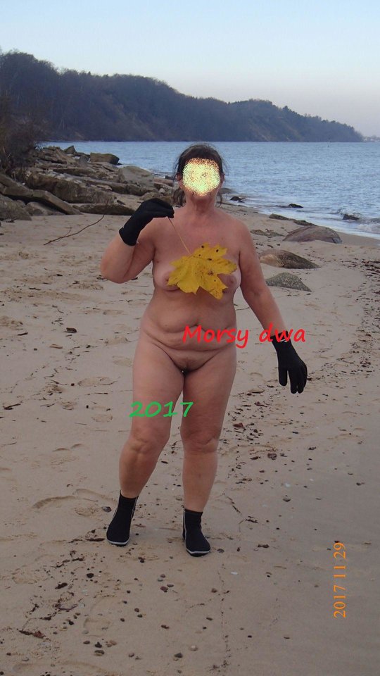 Liść klonu - Morsy_dwa