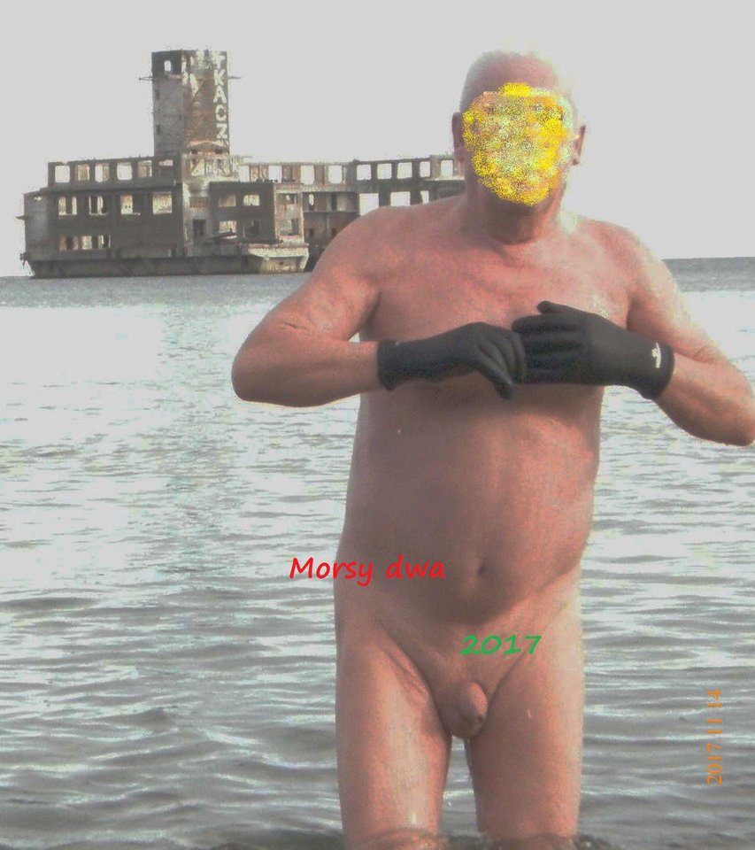 W morzu. - Morsy_dwa