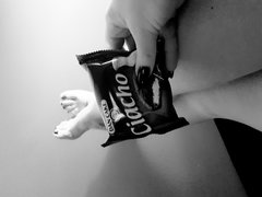 Ciacho jest tylko jedno 😉