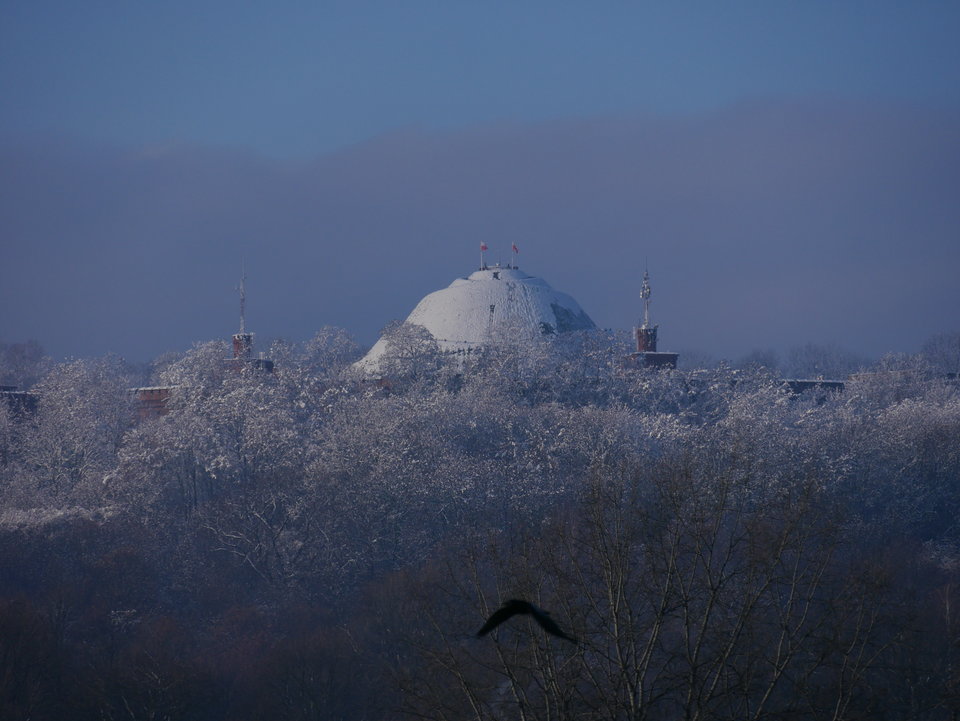 P1000516.JPG - FoKam431