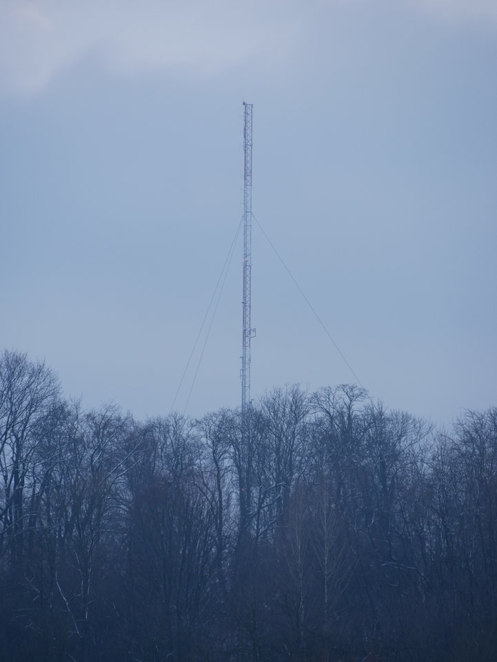 P1000545.JPG - FoKam431