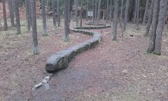 20171119_115046.jpg