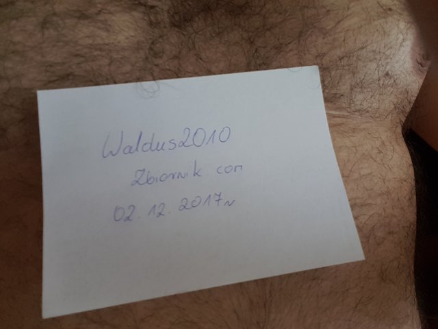 waldus2010