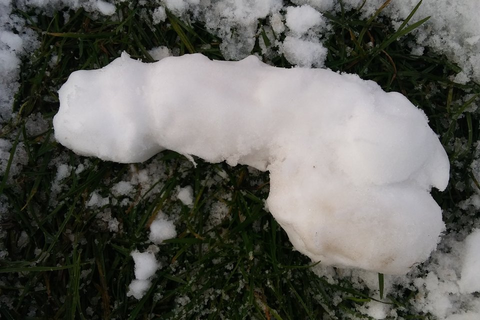 20171202_133934.jpg - henik_222